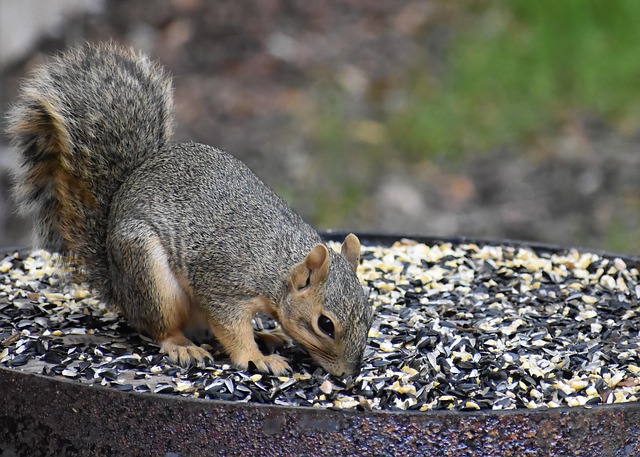 引きこもり投資家/投資収益５０００万到達！ @JO0sthSYpVRt2hn tweet media