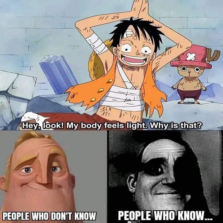 One Piece Daily tweet media