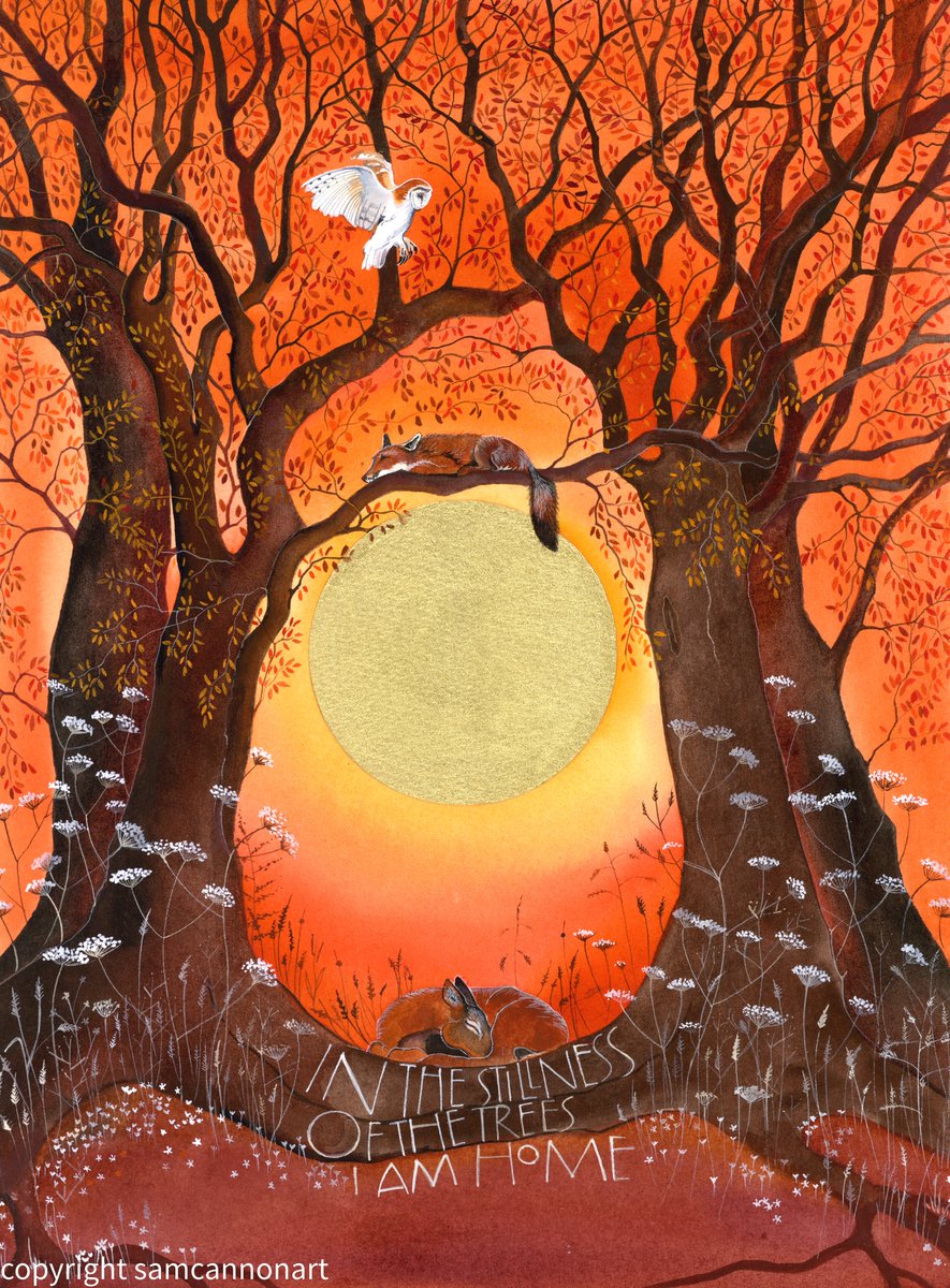 SamCannonArt's tweet image. A burst of colour this morning. And lots of gorgeous foxes. 
#foxoftheday 
#womensart