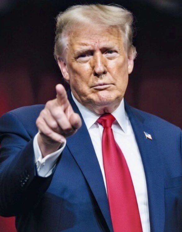 White Lion II (NDDN) Wittoslav Lionovski tweet media