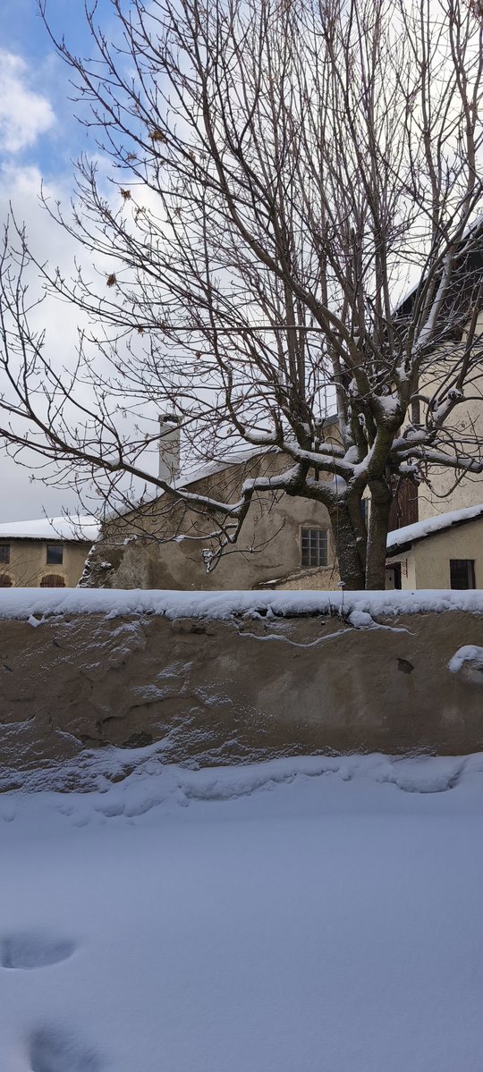 みねんか tweet media