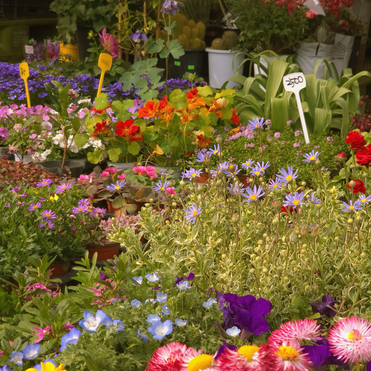 늘랭밥🍥 tweet media