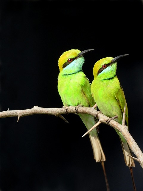 東大ぱふぇっと🐰20代で億り人達成🇺🇸米国株投資 @utbuffett tweet media