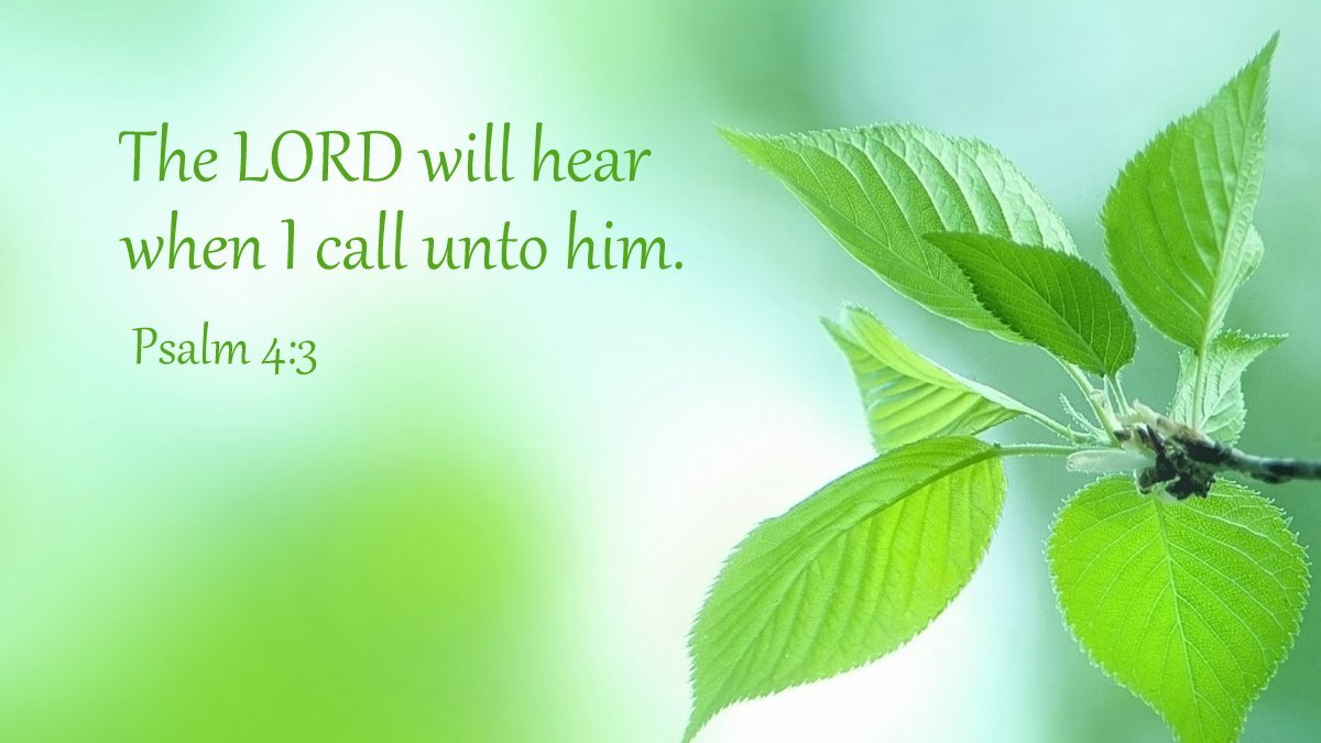 BIBLE LINE ～ バイブルライン tweet media