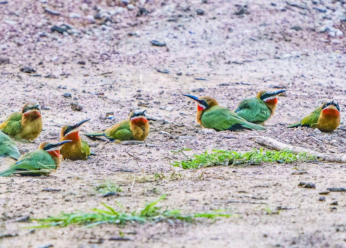 Paul Watkins tweet media