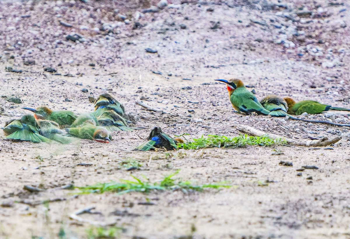 Paul Watkins tweet media