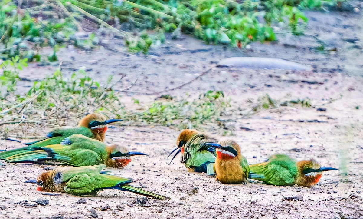 Paul Watkins tweet media