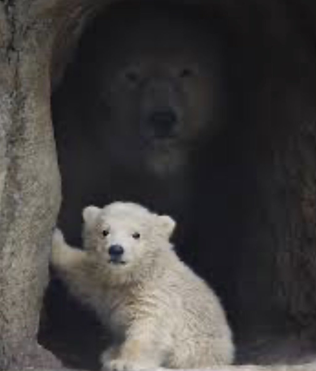 seokjinnie's cheeks 👨🏻‍🚀💙 tweet media