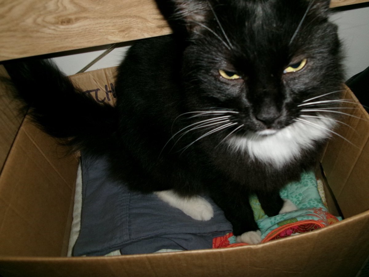 sie ˚ ༘ ✮ tweet media