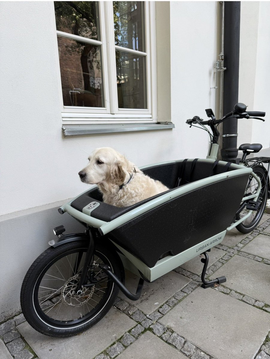 Nomadmum tweet media