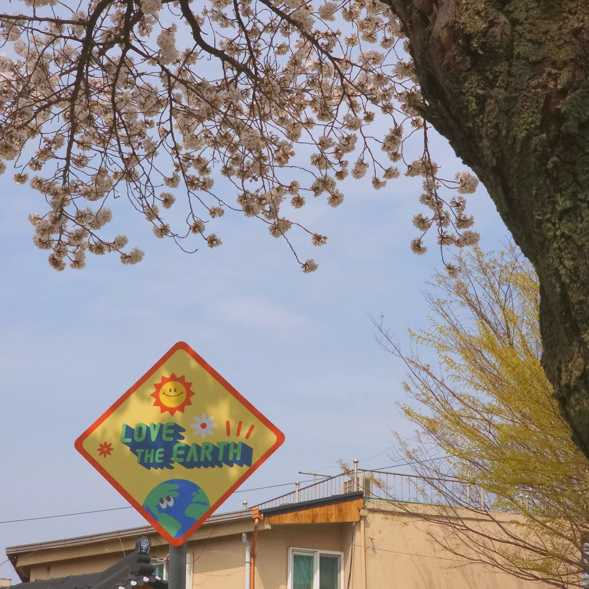 늘랭밥🍥 tweet media