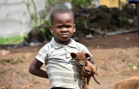 ROGERS OTIENO tweet media