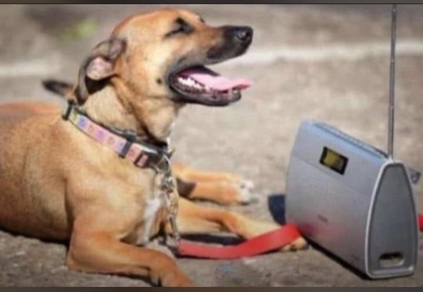 thee notorious😤👾👍🏾 tweet media