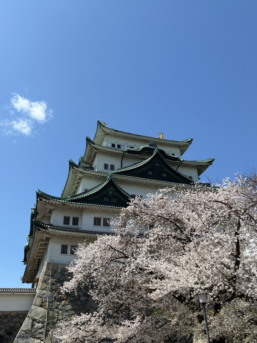 りょーた。 tweet media