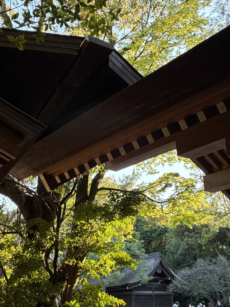 りょーた。 tweet media