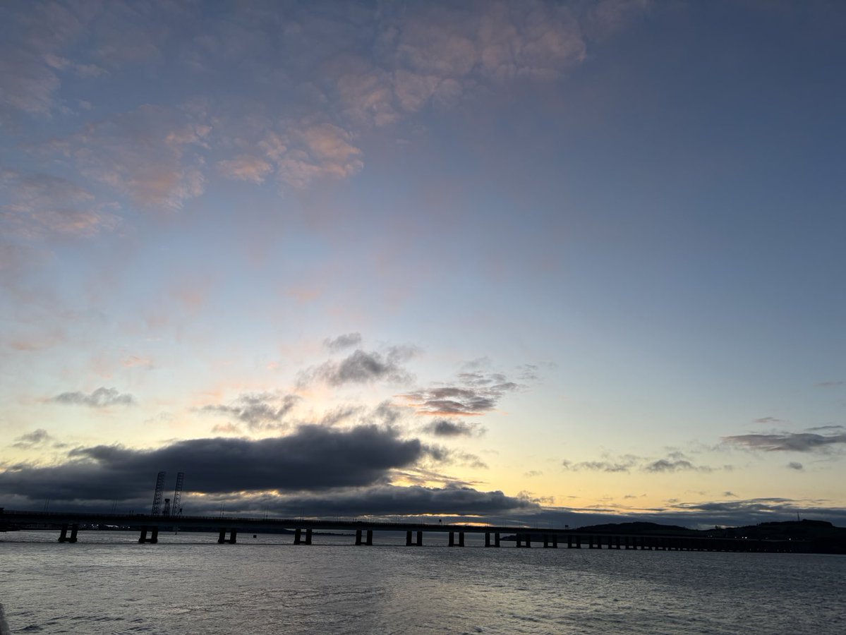 DevilMayCare tweet media