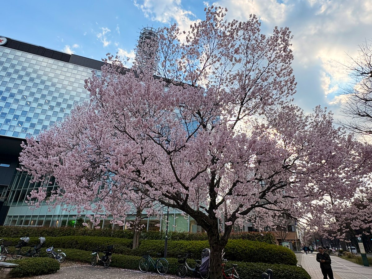 チンパン小僧@このインフレの世界でイキる tweet media