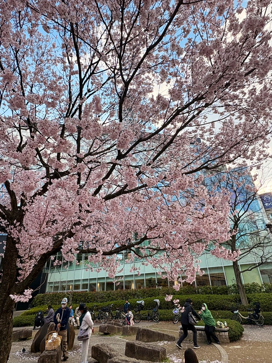 チンパン小僧@このインフレの世界でイキる tweet media