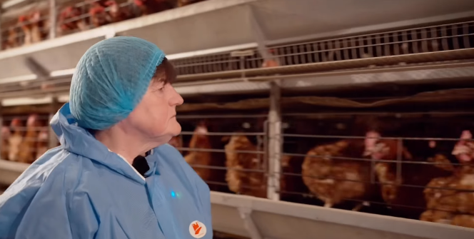 VPP 🇺🇦🇮🇱🇱🇻 tweet media