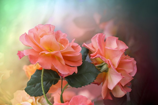 Lauren Greene tweet media