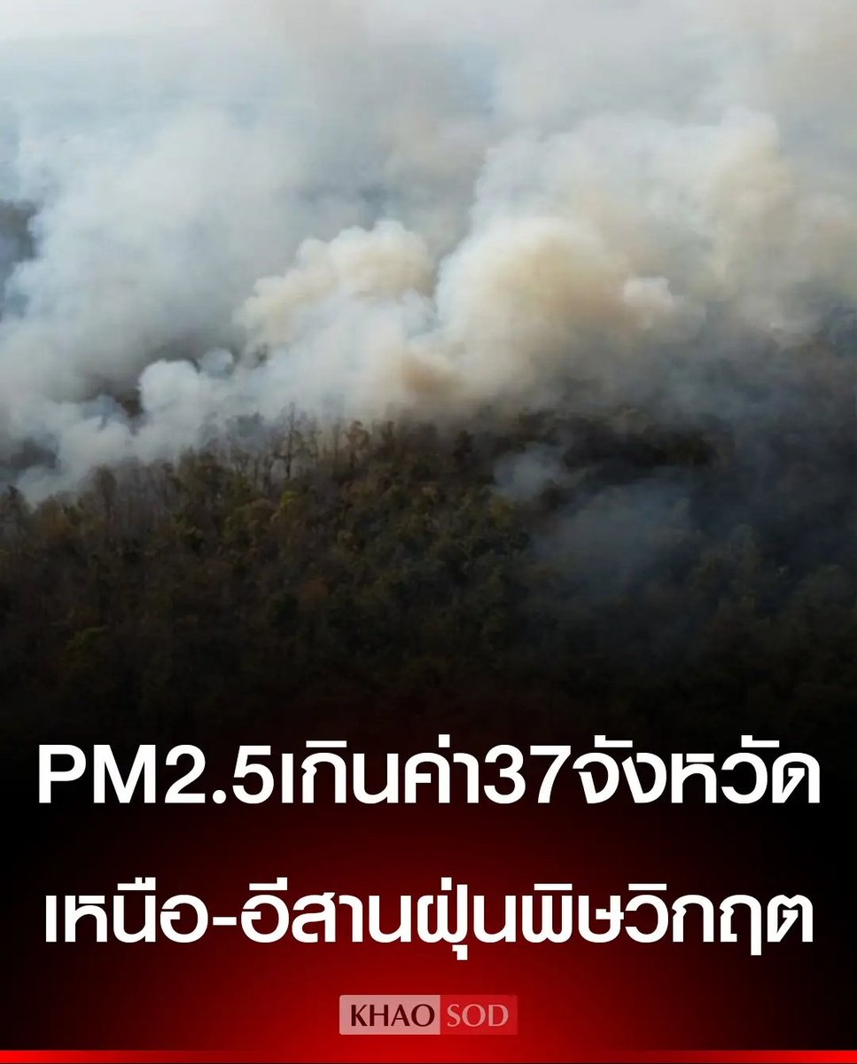 Tarot to youuuu tweet media