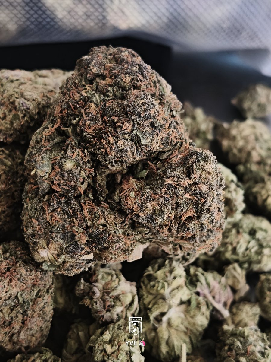 🍫 CHOCO🍩NIÑA🍫 tweet media