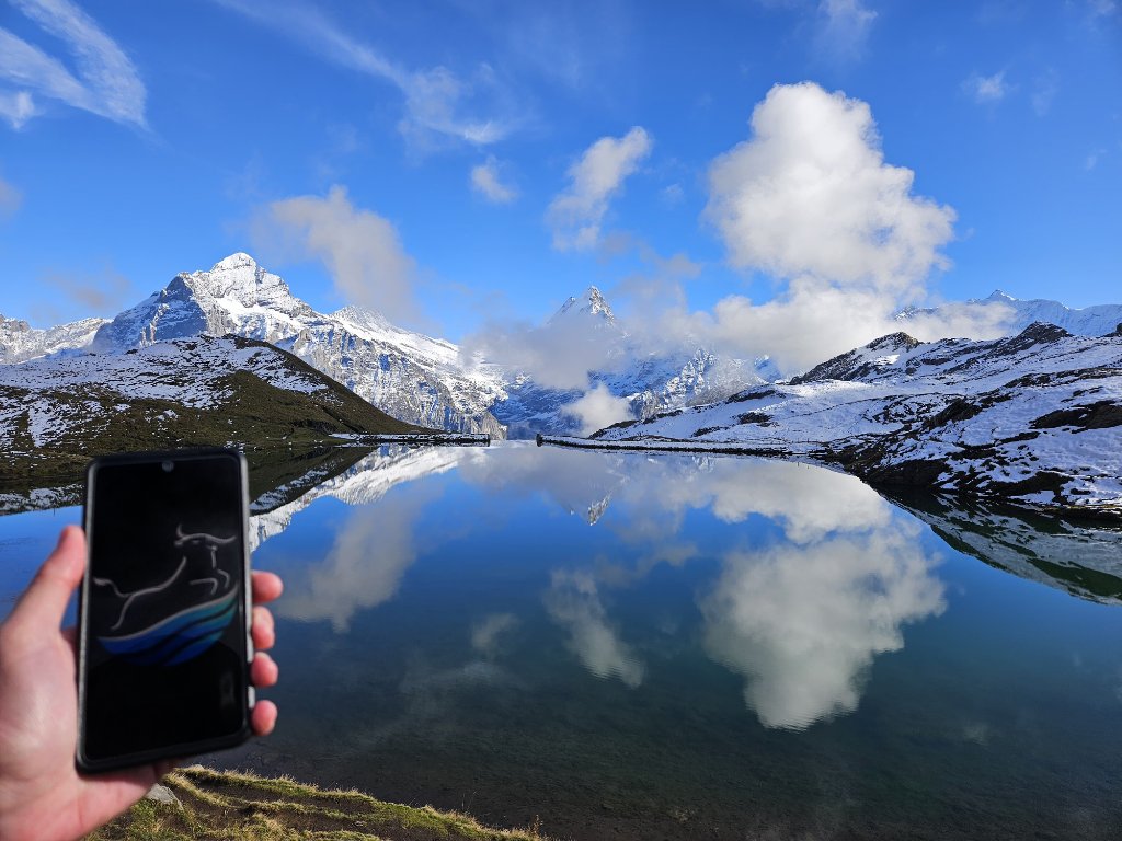 Bullflow.io tweet media