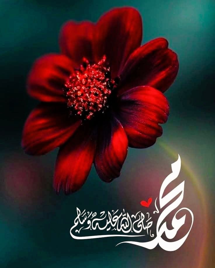 Zzoo3333's tweet photo. #صلوا_علي_الحبيب_محمد_صلي https://t.co/qJh9u2ZSX8