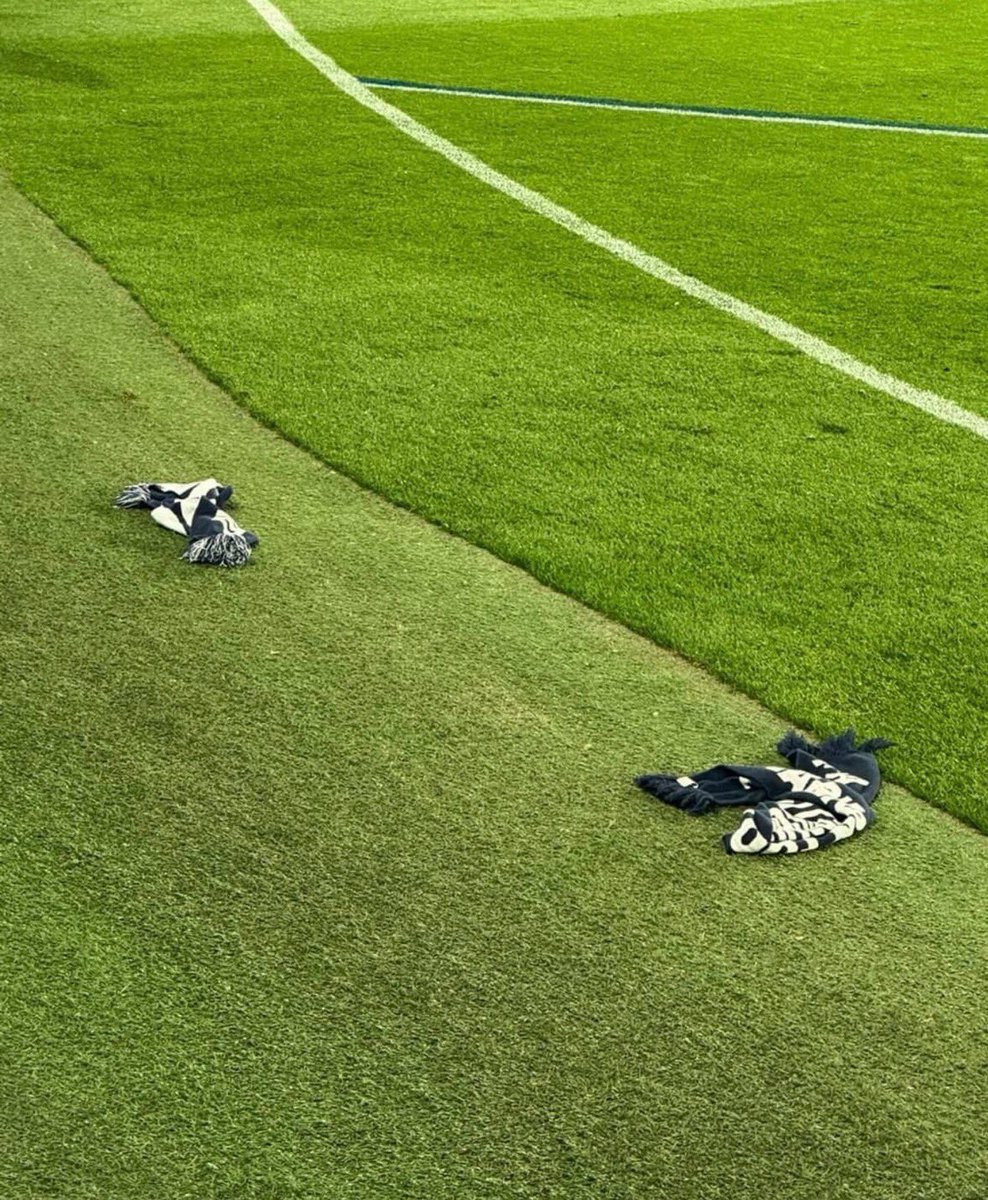 BazNMFC's tweet image. Carlton supporters have had enough 😂😂😂 #AFLNorthBlues #AFL