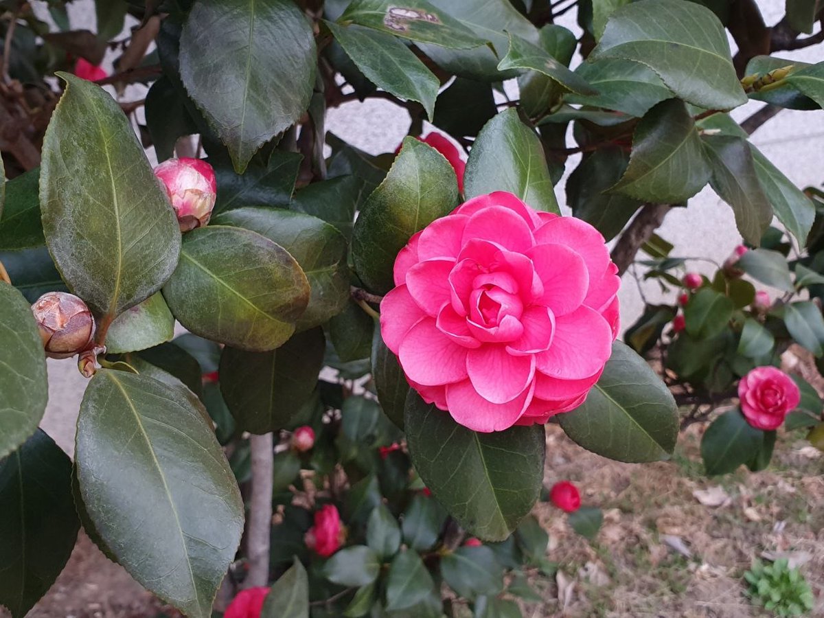 남인순 tweet media