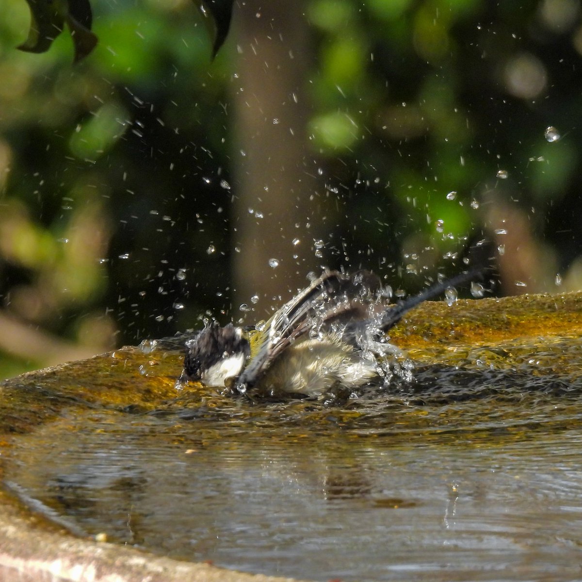 るもちゃん🌈とヒロ tweet media