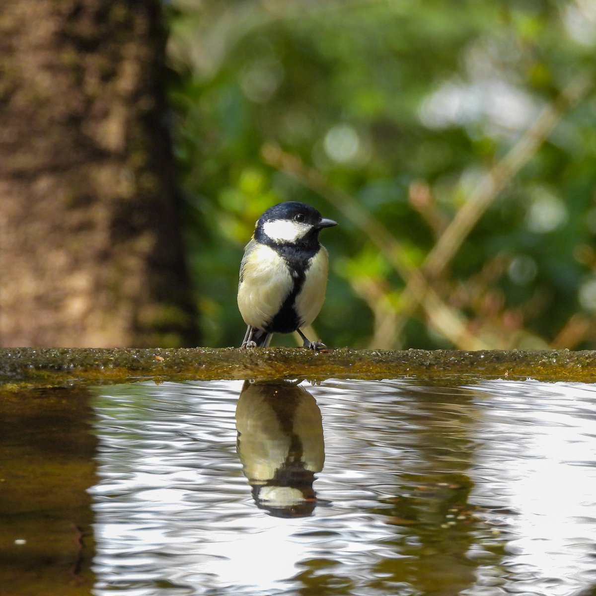 るもちゃん🌈とヒロ tweet media