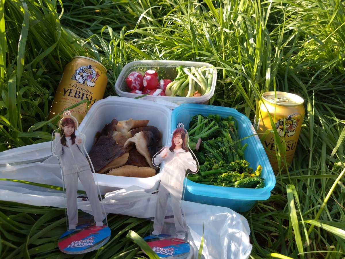 エアロスター（たつ兄） tweet media