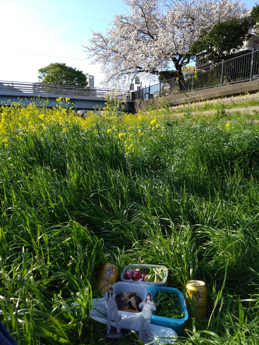 エアロスター（たつ兄） tweet media