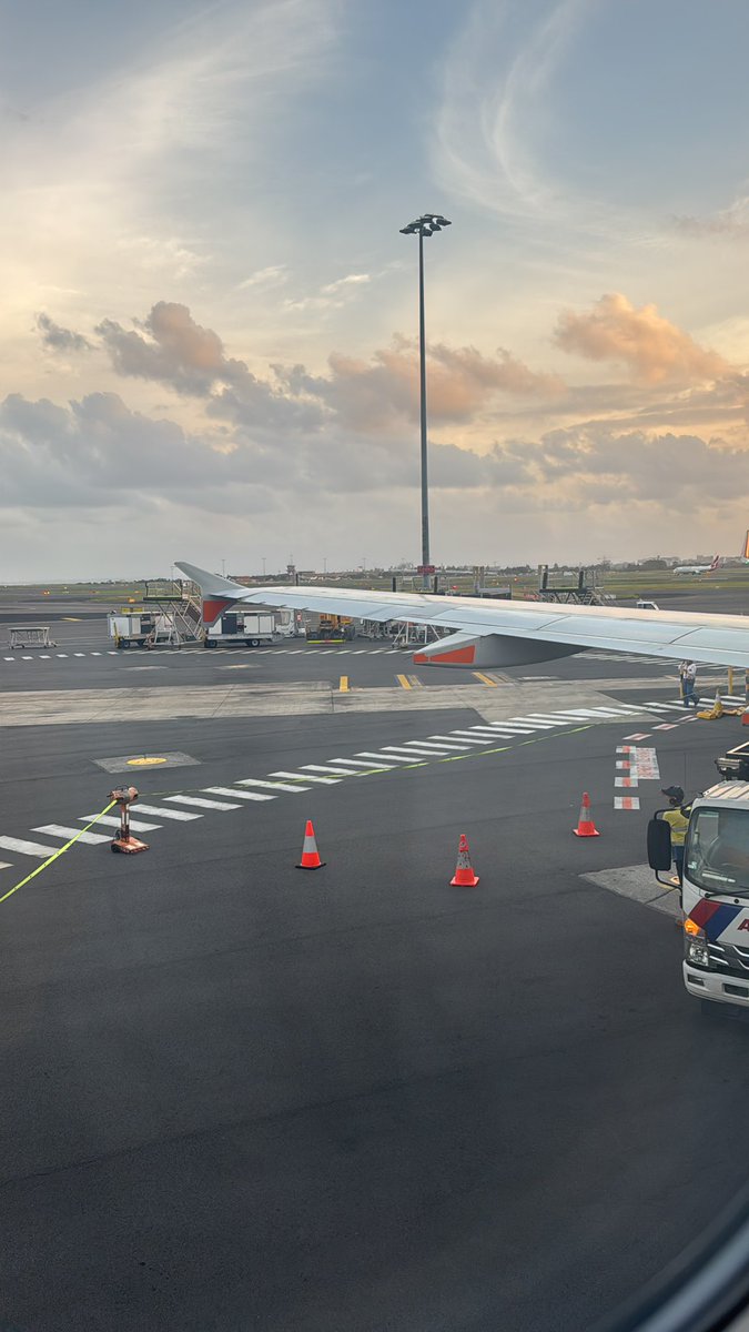 Stocko ⚽️ tweet media