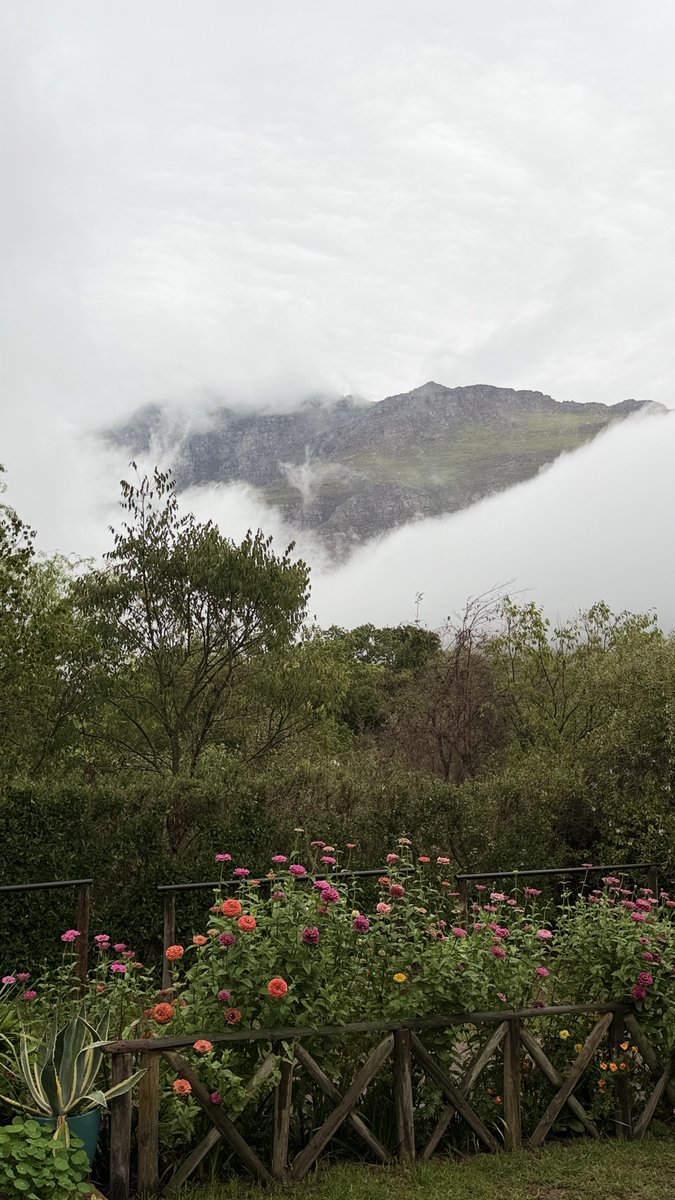 Melanie vd Merwe tweet media