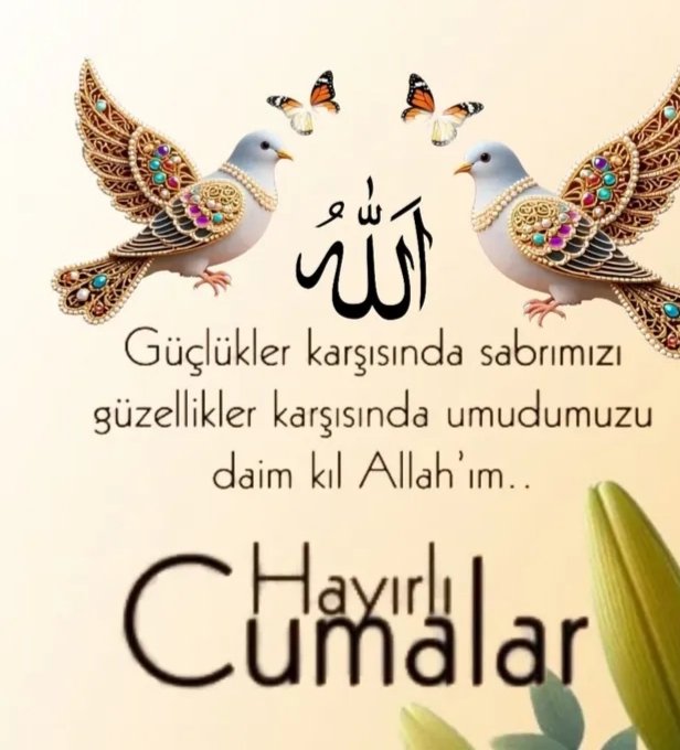 Hayırlı günler🌹