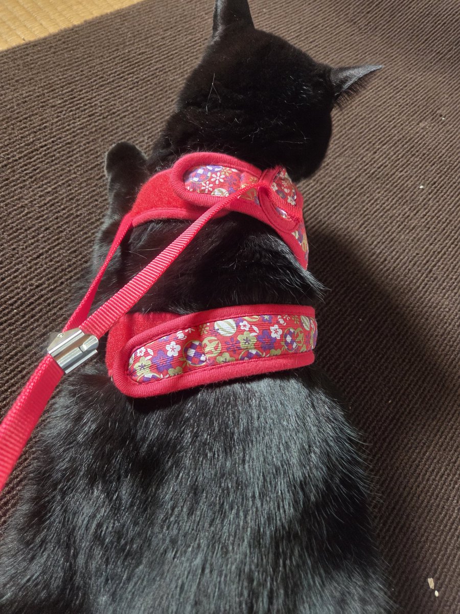 💜RAY💜 tweet media