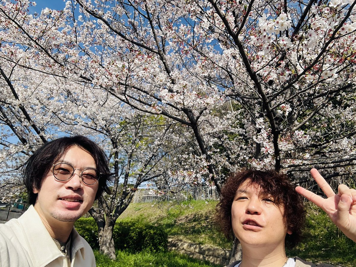 SENtoROI -セントロイ- tweet media