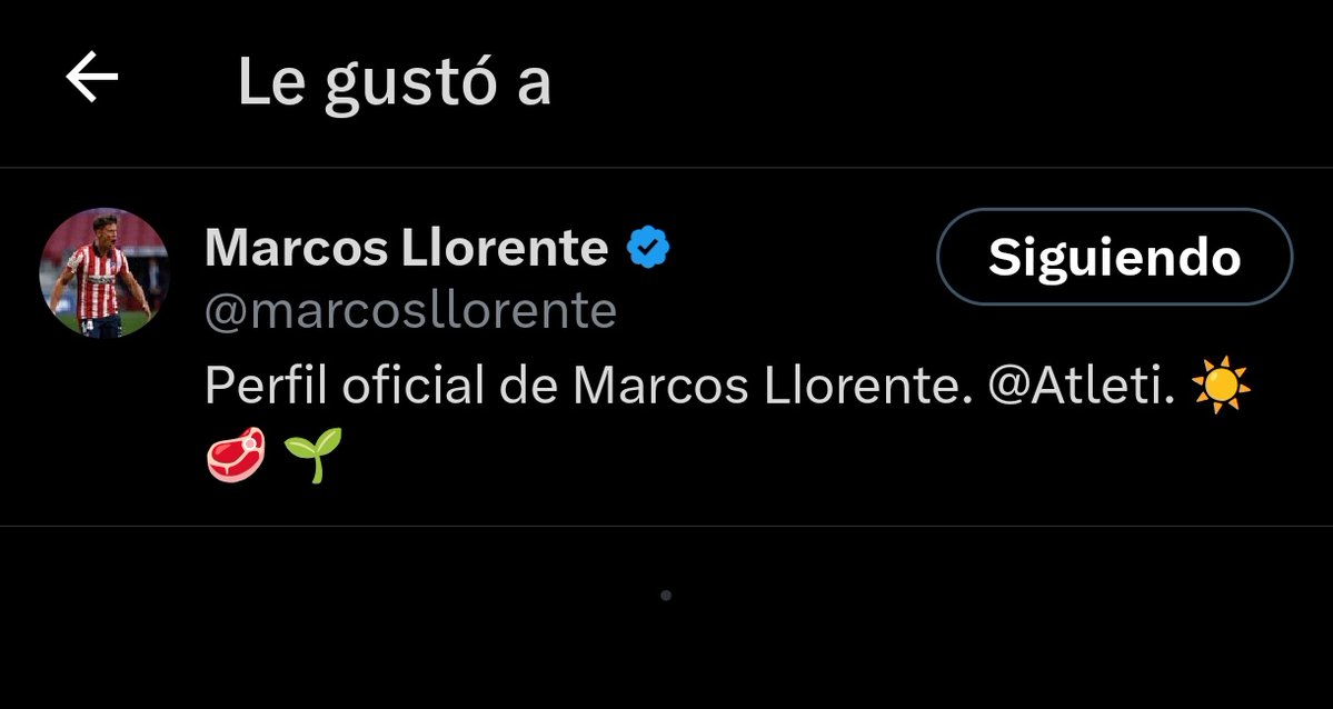 magnusimperator tweet media