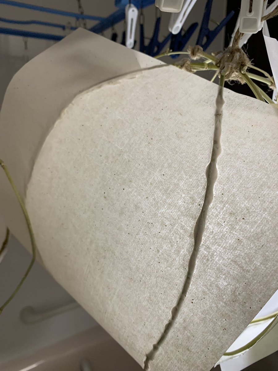 西川ユウヒスキー tweet media