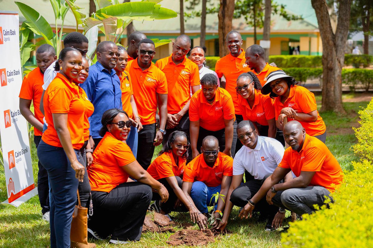 My Tree Initiative Organization tweet media