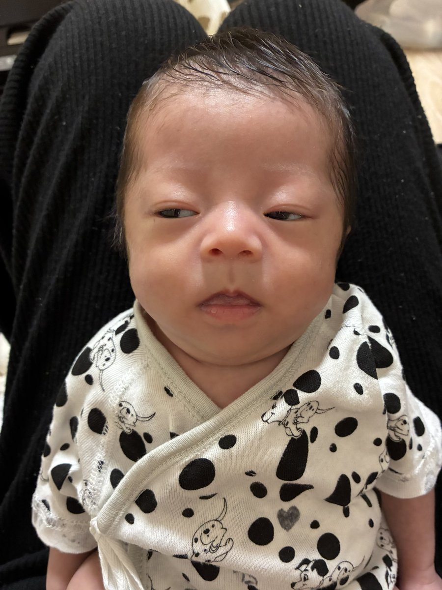 2coll_'s tweet photo. かわええ爆笑爆笑爆笑爆笑 https://t.co/yvUMl3Bx0v