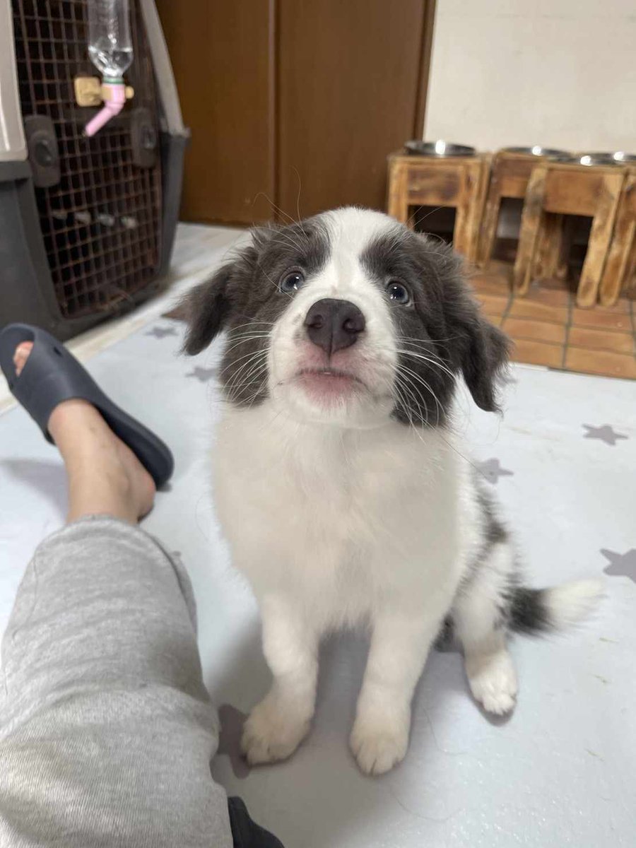 複雑奇怪な浪速っ子 tweet media