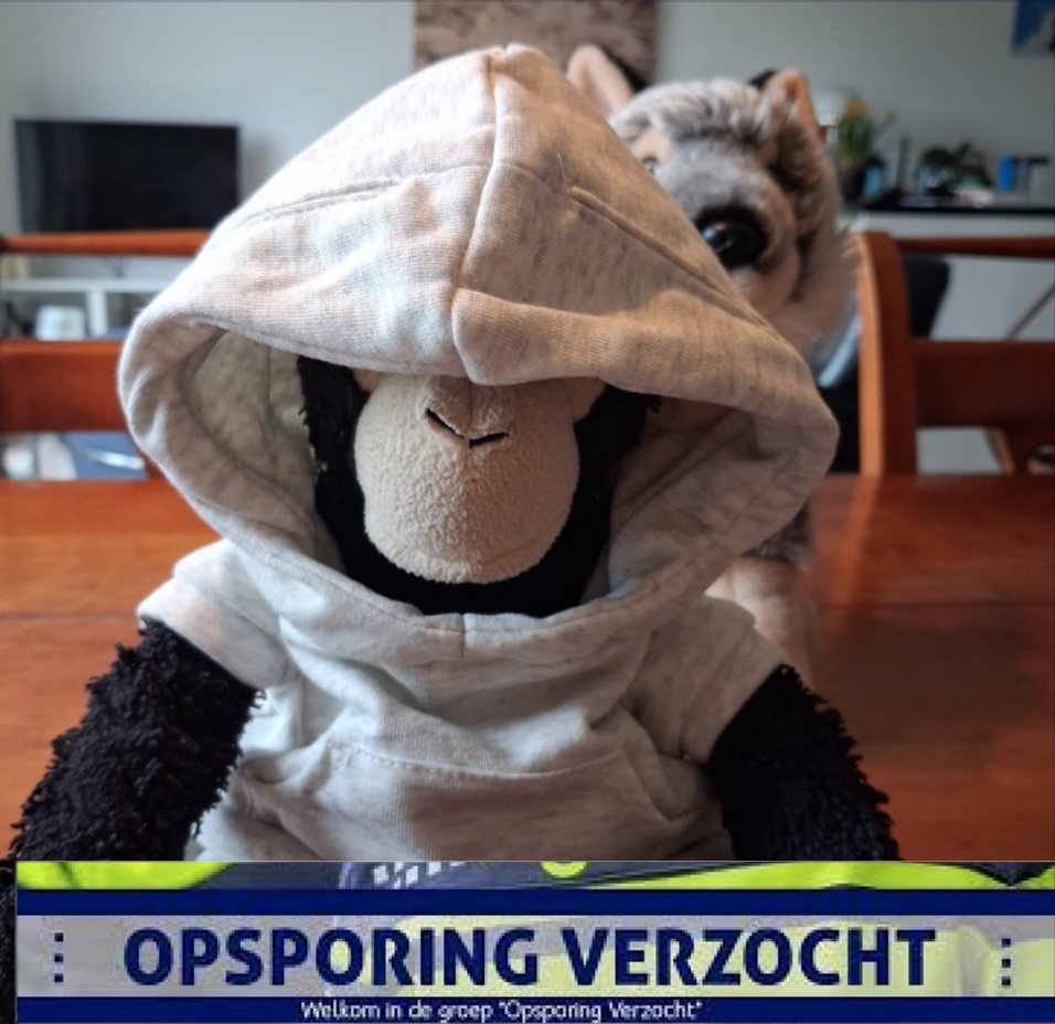 Sjako den Aap 🐵 Mischa 🌈 Toulouse🌈 T. Beer🌈 tweet media