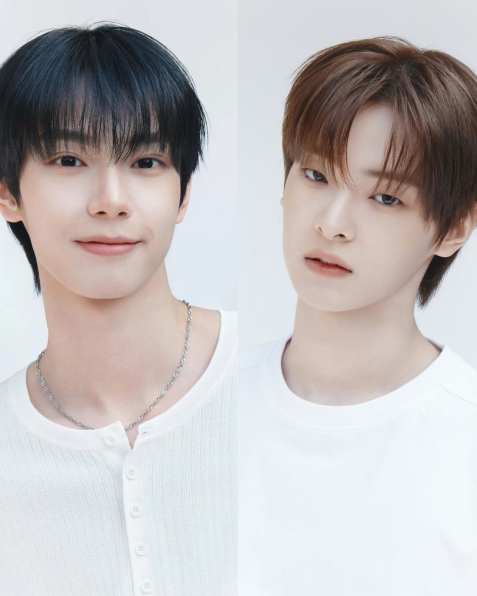 gal 🧊 tweet media