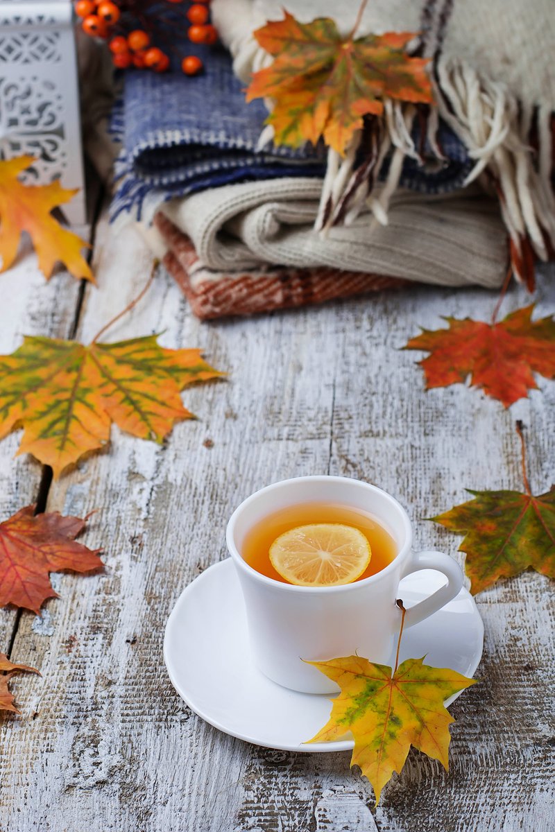 Salfitz's tweet photo. Autumn breeze, golden leaves, and a warm latte—perfect fall day vibes! https://t.co/LEYM8SZ0rh