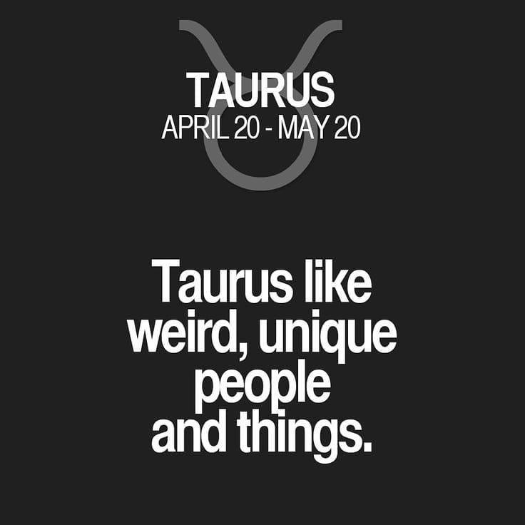 Taurus tweet media