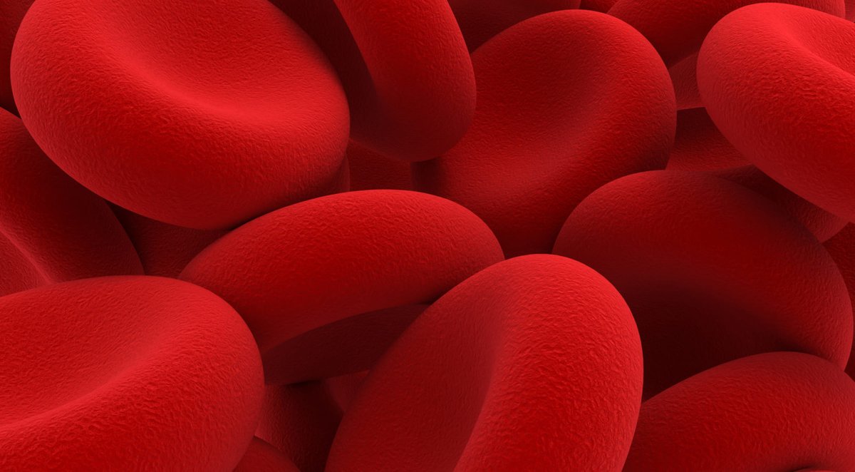 Vall d'Hebron tweet media