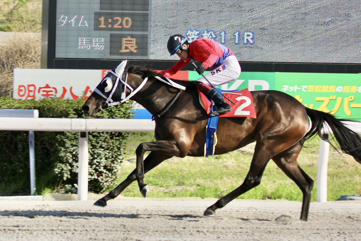 ぴっぴ　4月3日笠松📍 tweet media